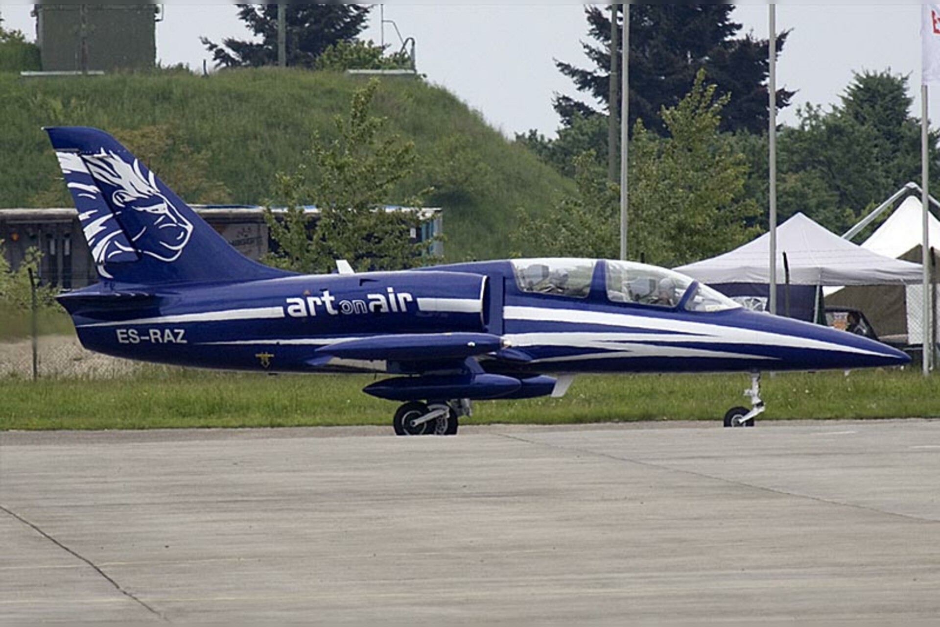 Flugsimulator Jet-Trainer L-39 Albatros